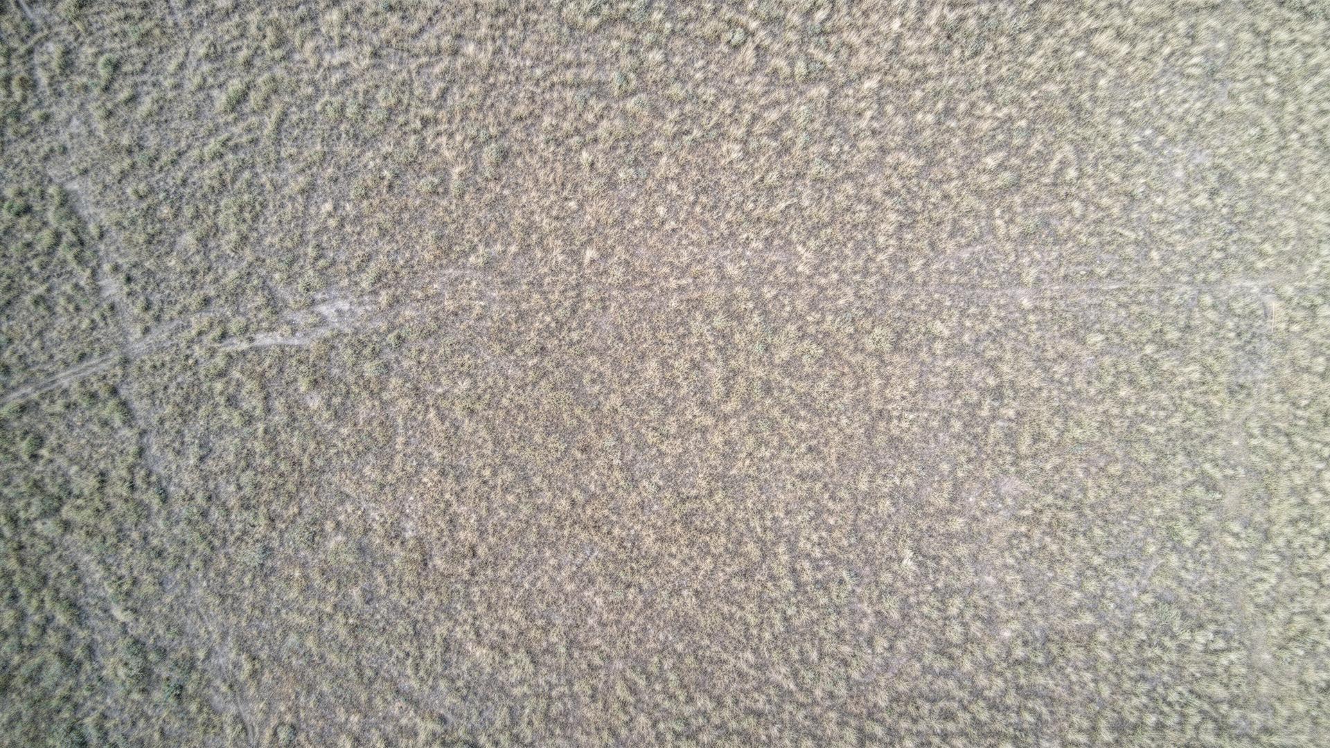 Aerial overhead of regenerating Australian pastoral country